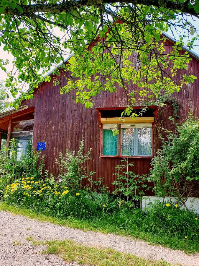 Draga Koncar Guest House Врело-Кореничко Экстерьер фото