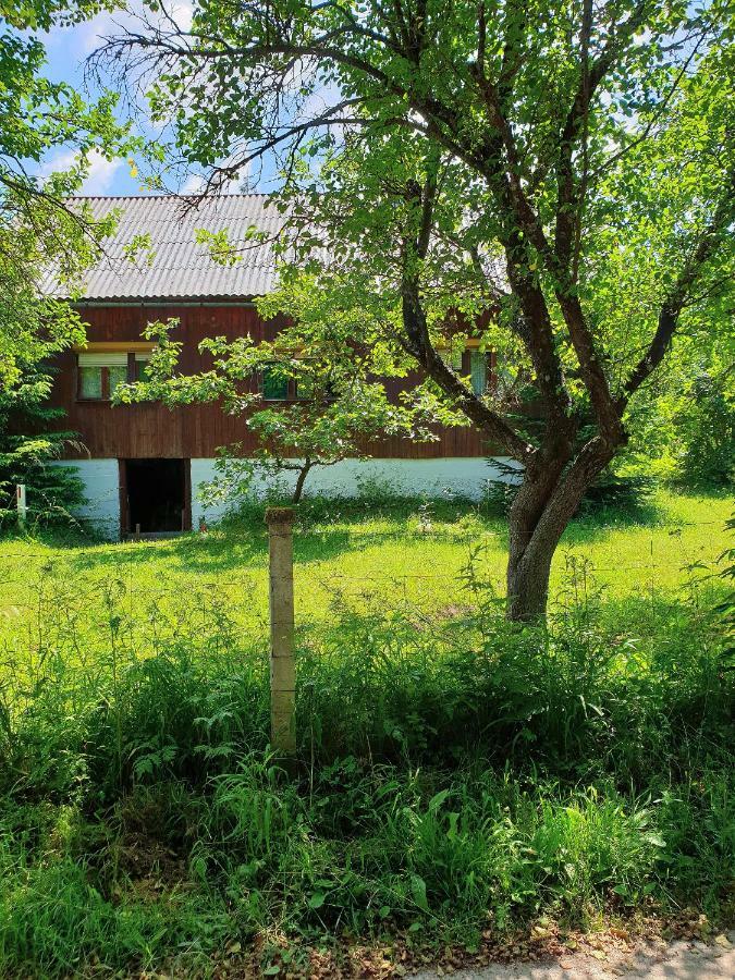Draga Koncar Guest House Врело-Кореничко Экстерьер фото